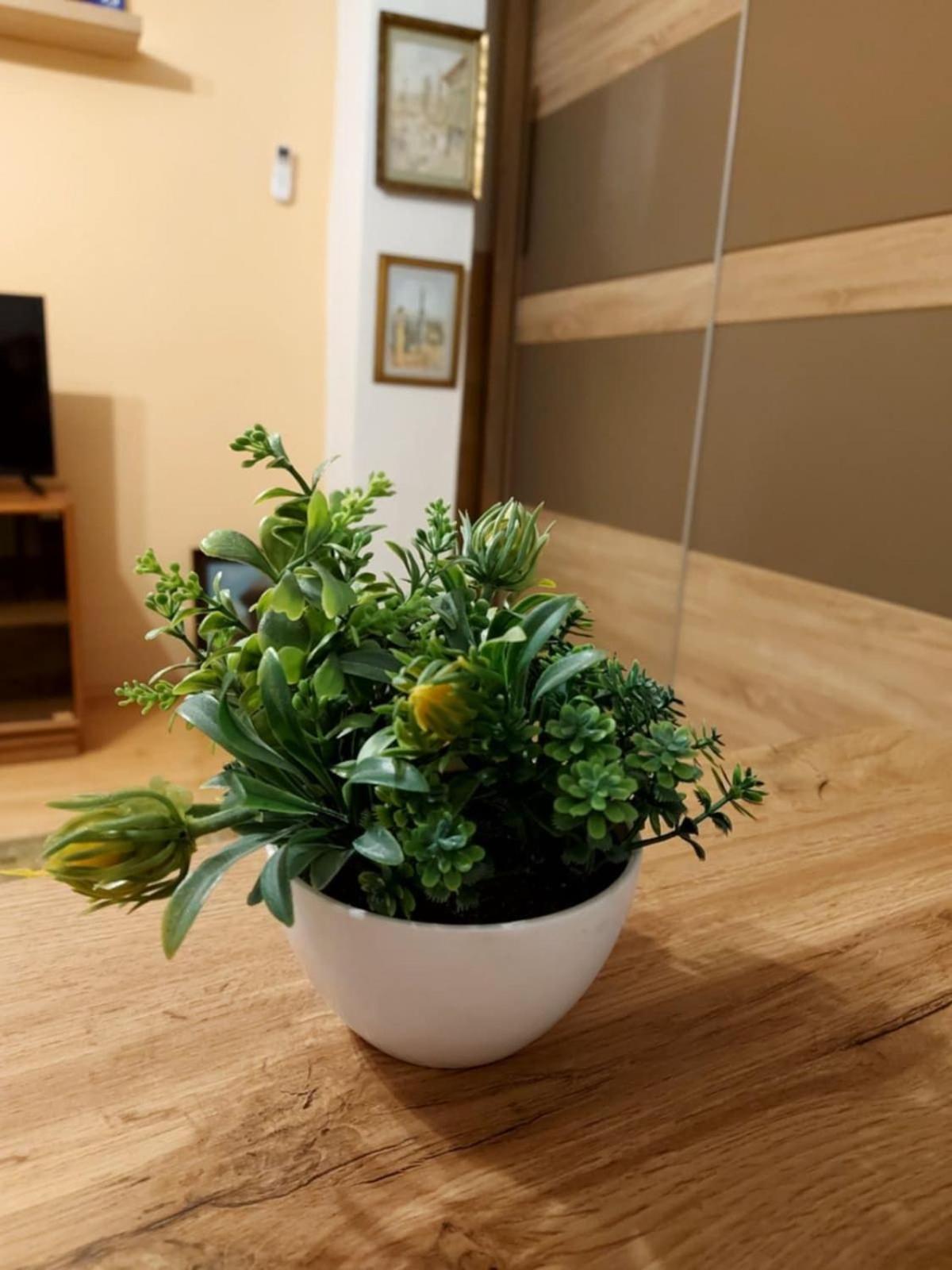 Little&sweet Apartament